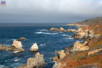 Garrapata SP (CA)