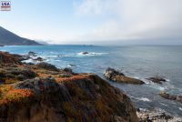Garrapata SP (CA)