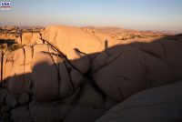 Joshua Tree National Park (CA)