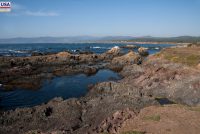 MacKerricher State Park (CA)