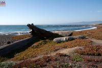 MacKerricher State Park (CA)