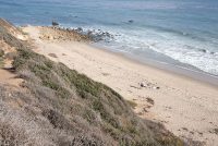 Robert H. Meyer Memorial State Beaches (CA)