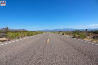 Mojave National Preserve (CA)