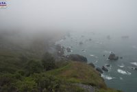 Redwood National Park & State Parks (CA)
