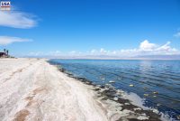 Salton Sea (CA)