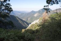Sequoia National Park (CA)