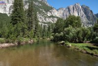 Yosemite National Park (CA)
