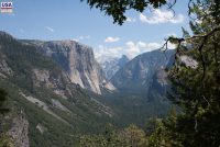 Yosemite National Park (CA)