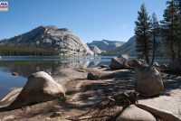 Yosemite National Park (CA)