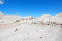 Dinosaur Provincial Park (AB)