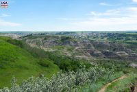 Dry Island Buffalo Jump Provincial Park (AB)