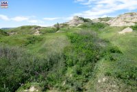 Dry Island Buffalo Jump Provincial Park (AB)