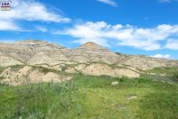 Dry Island Buffalo Jump Provincial Park (AB)
