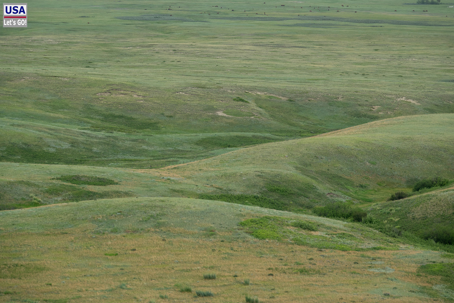 Head-Smashed-In Buffalo Jump Provincial Park