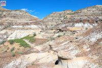 Horsethief Canyon (AB)