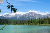 Jasper National Park (AB)