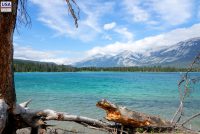 Jasper National Park (AB)