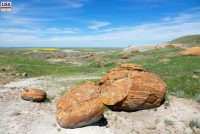 Red Rock Coulee Natural Area (AB)