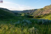 Wayne Ghost Town (AB)