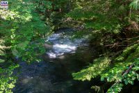 Brandywine Falls Provincial Park (BC)