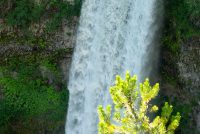 Brandywine Falls Provincial Park (BC)