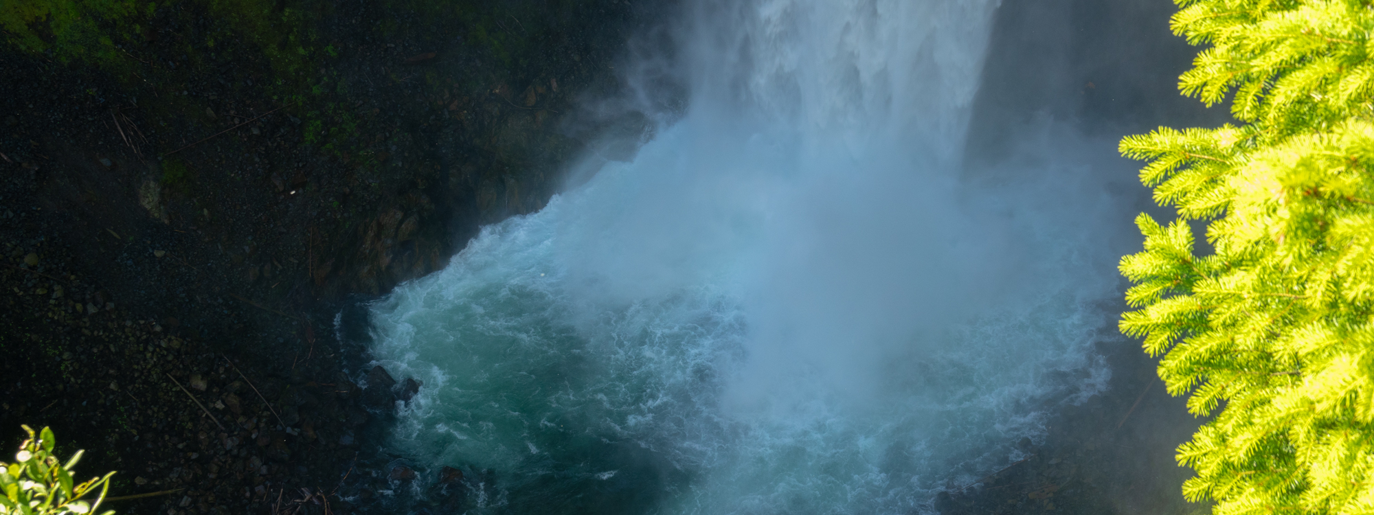 Headerbild2