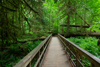MacMillan Provincial Park (BC)