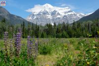 Mount Robson Provincial Park (BC)