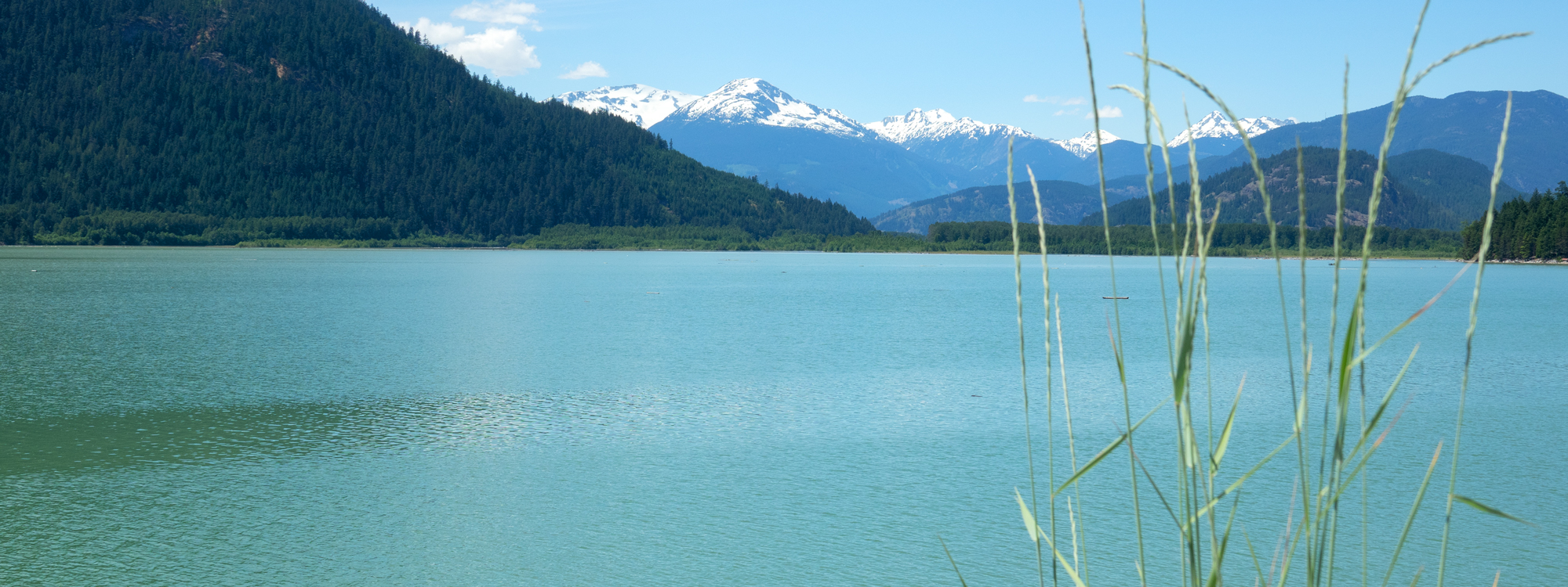 Headerbild3