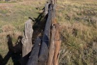 Florissant Fossil Beds National Monument (CO)