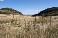 Roxborough State Park (CO)