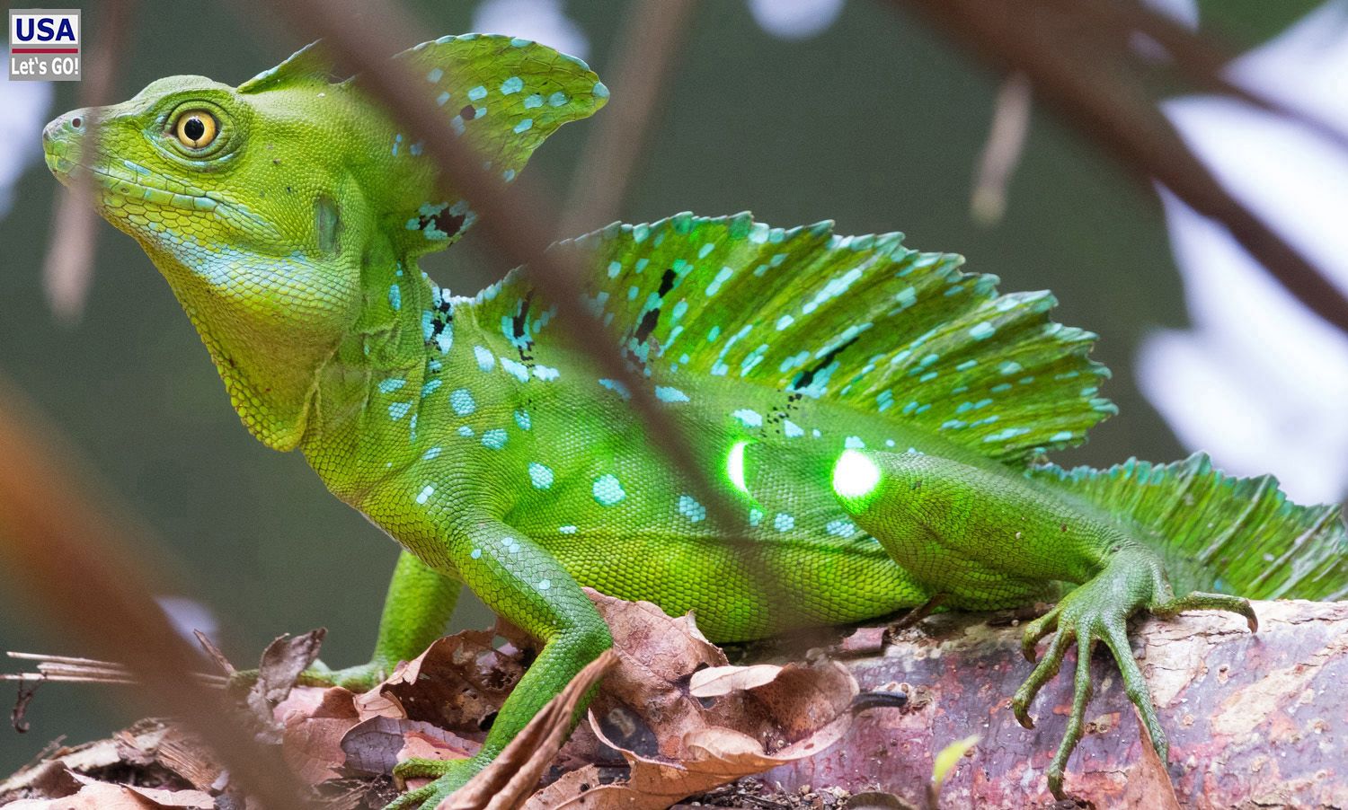 Cahuita Nationalpark