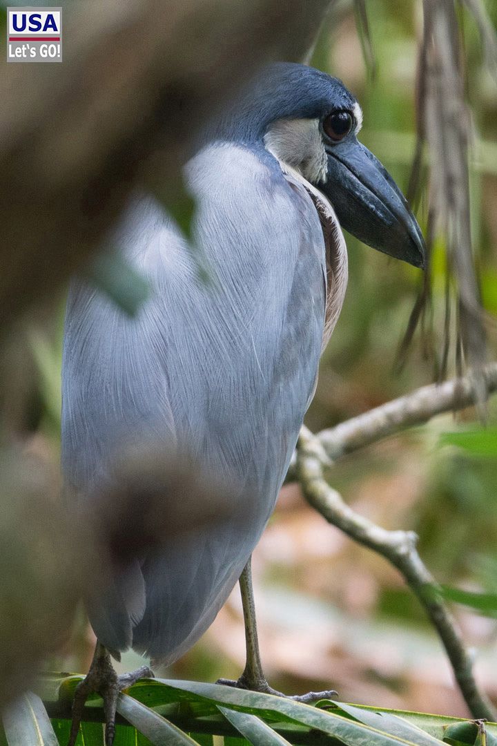 Cahuita Nationalpark