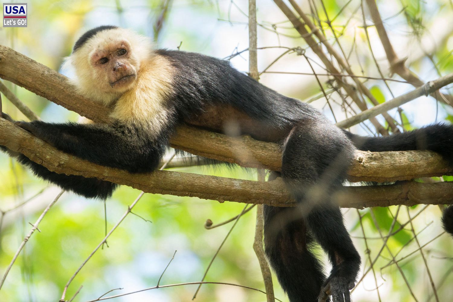 Cahuita Nationalpark