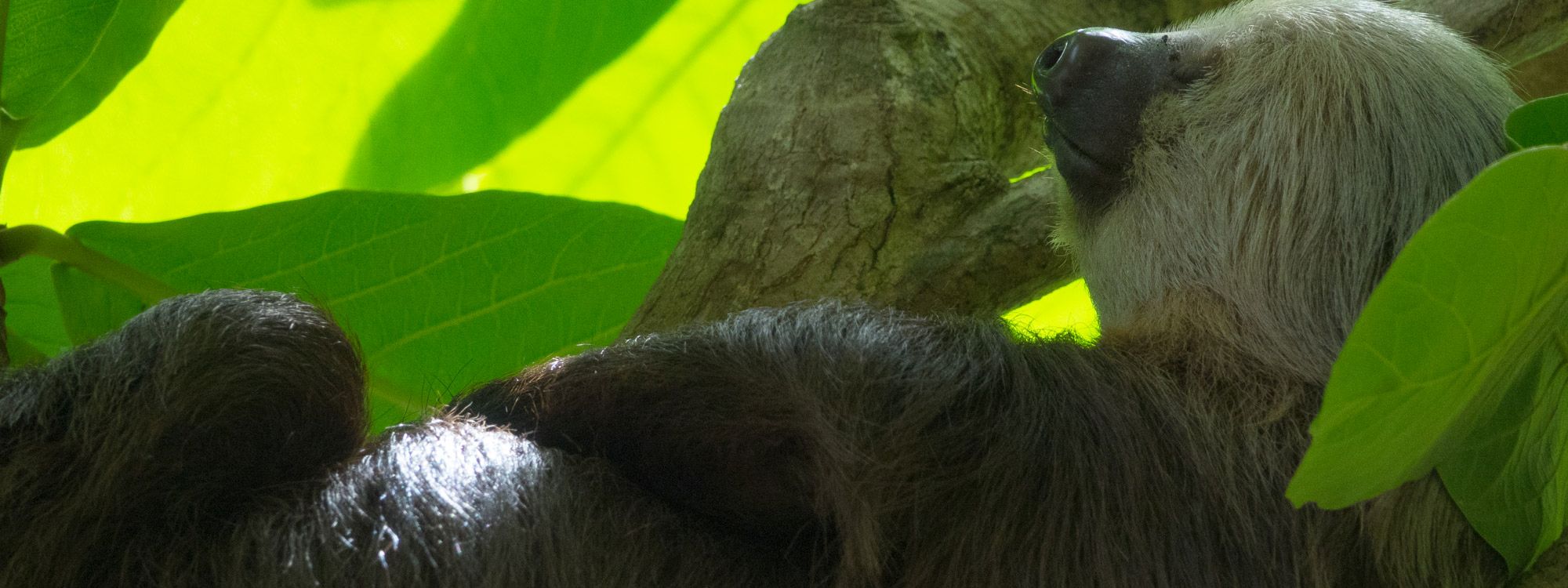 Headerbild3