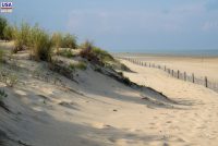 Fenwick Island State Park (DE)
