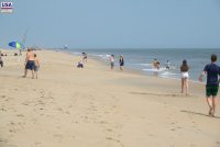Cape Henlopen State Park (DE)