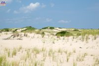 Cape Henlopen State Park (DE)