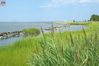 Holts Landing State Park (DE)