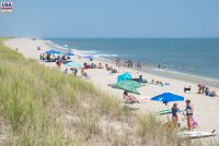 Delaware Seashore State Park (DE)
