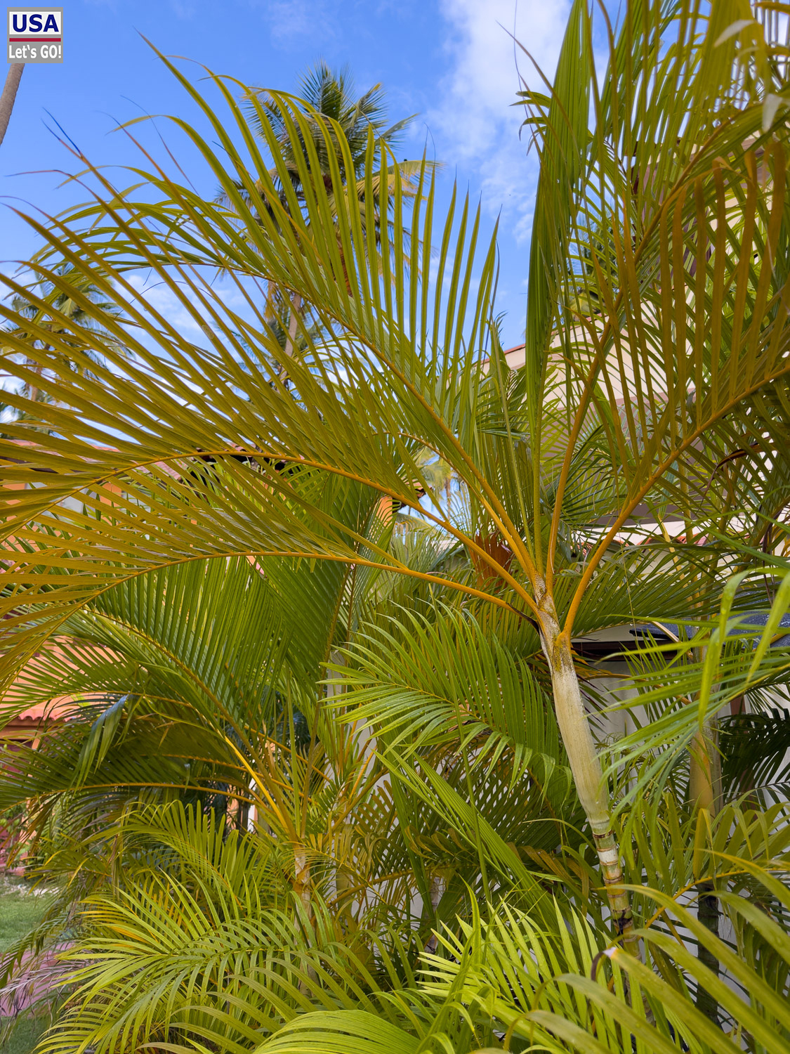 Tropische Gartenanlage des Los Corales Beach Village, Bavaro