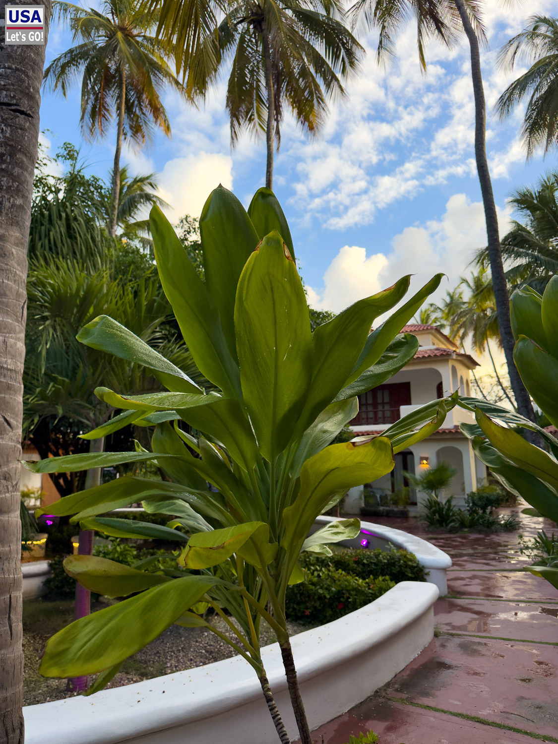 Tropische Gartenanlage des Los Corales Beach Village, Bavaro