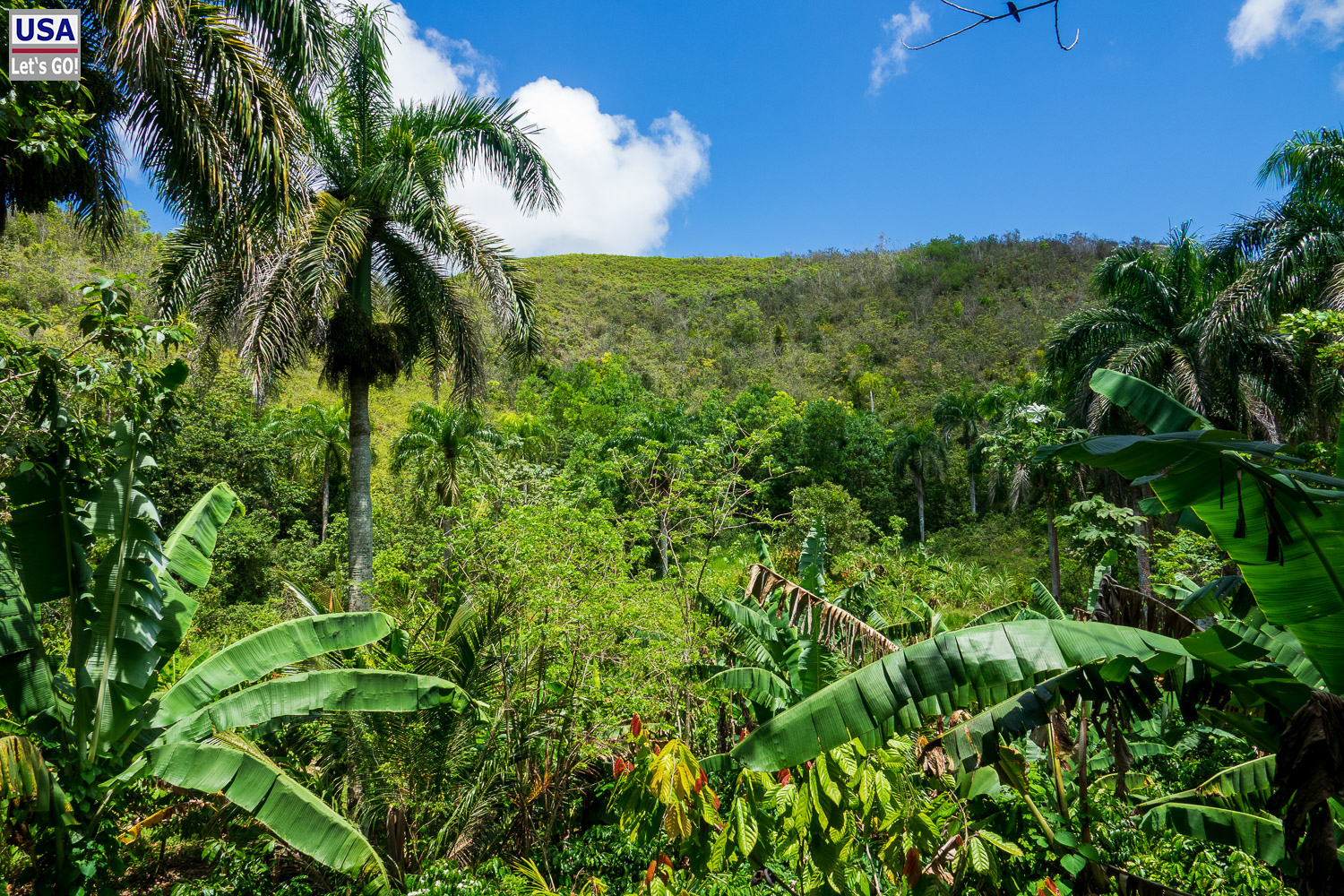 Wanderung zum El Lim&oacute;n Wasserfall, Samana