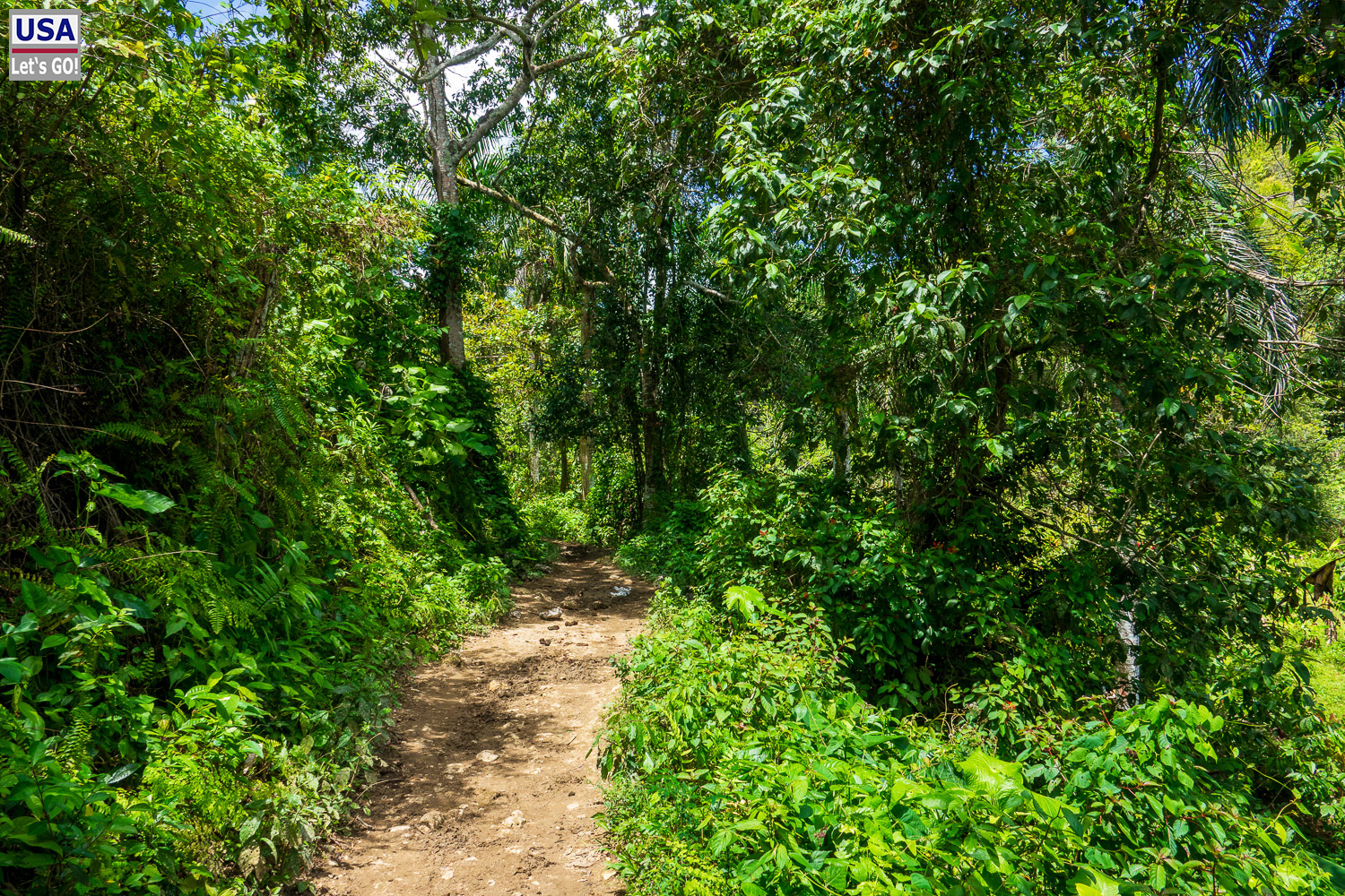 Wanderung zum El Lim&oacute;n Wasserfall, Samana