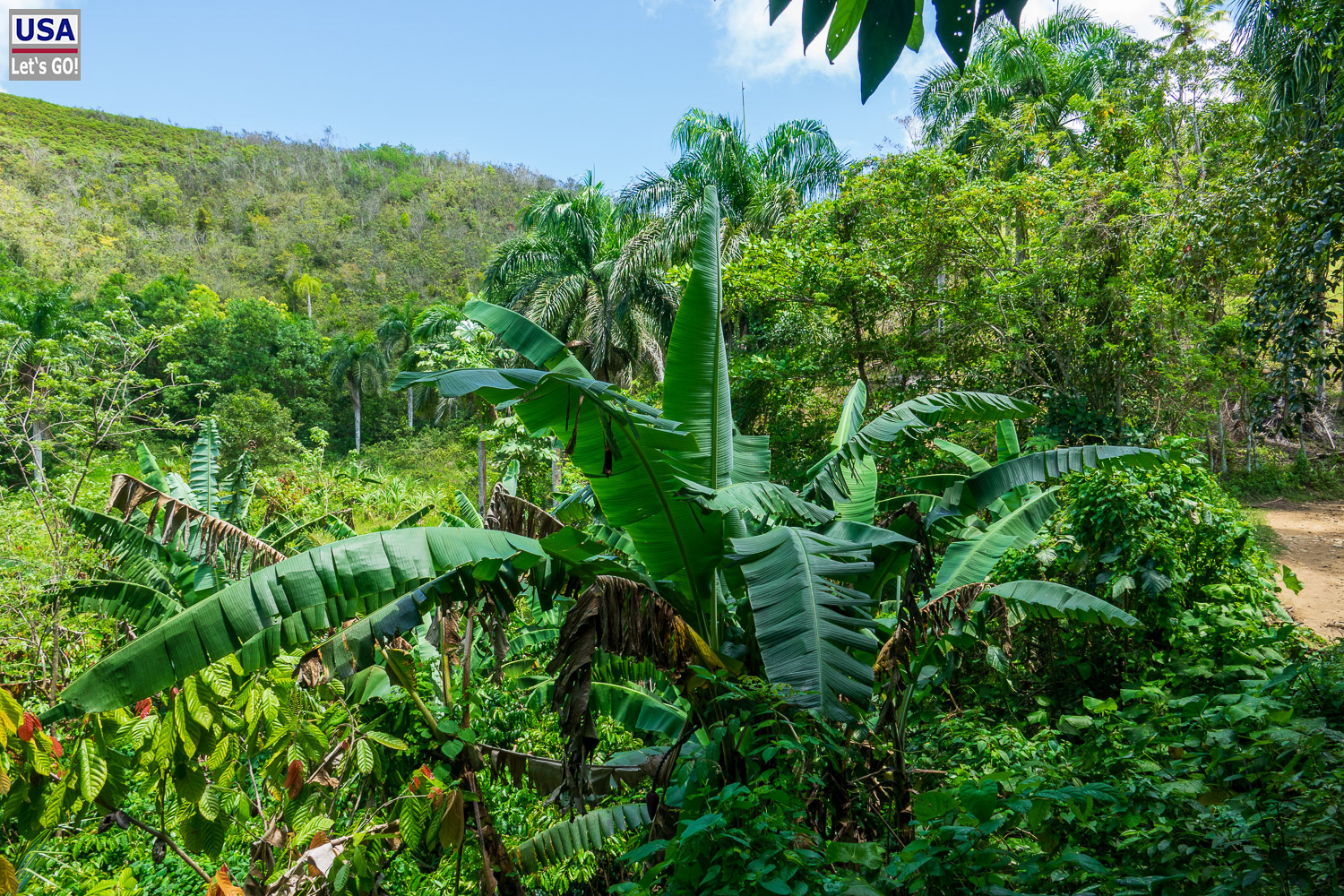 Wanderung zum El Lim&oacute;n Wasserfall, Samana