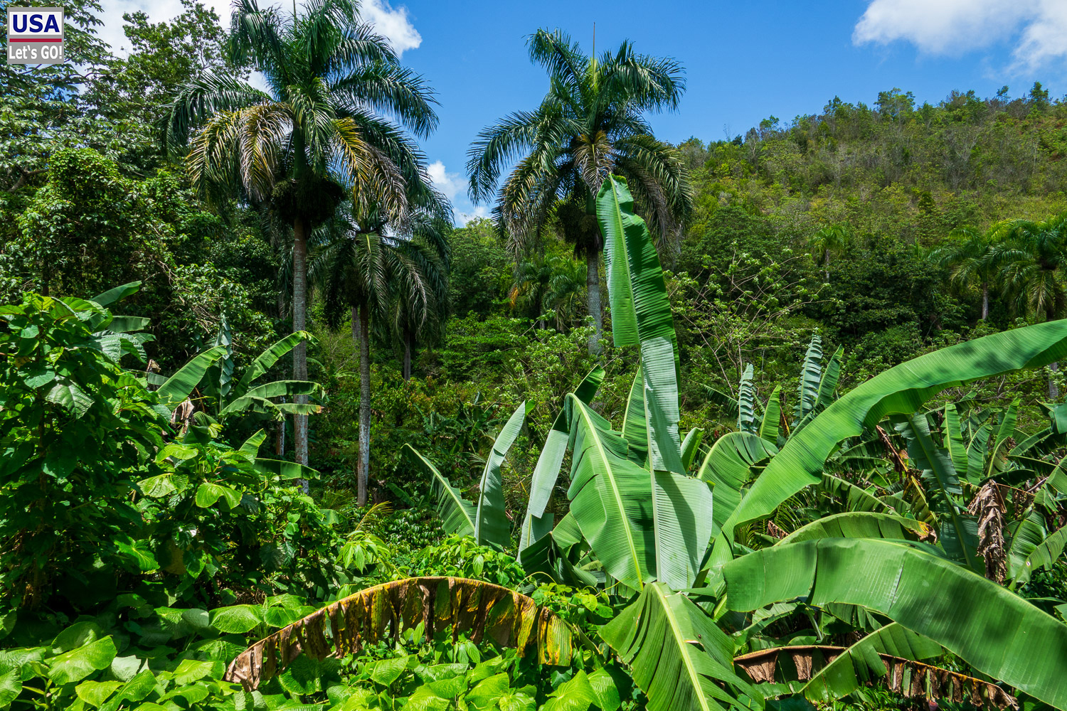 Wanderung zum El Lim&oacute;n Wasserfall, Samana