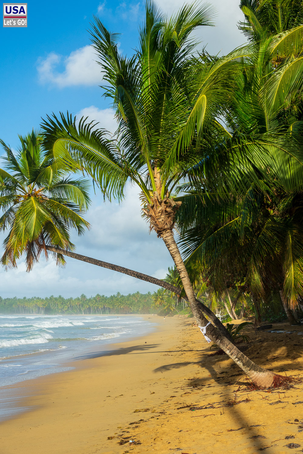 Strand Playa Cos&oacute;n, Samana