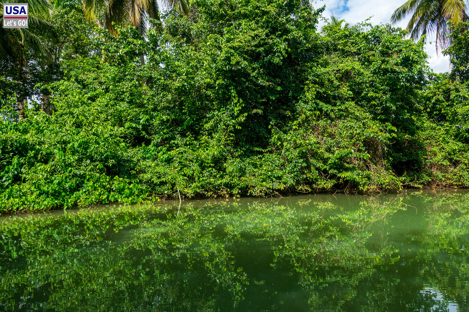 Bootstour auf dem Rio Cano Hondo, Nationalpark Los Haitises
