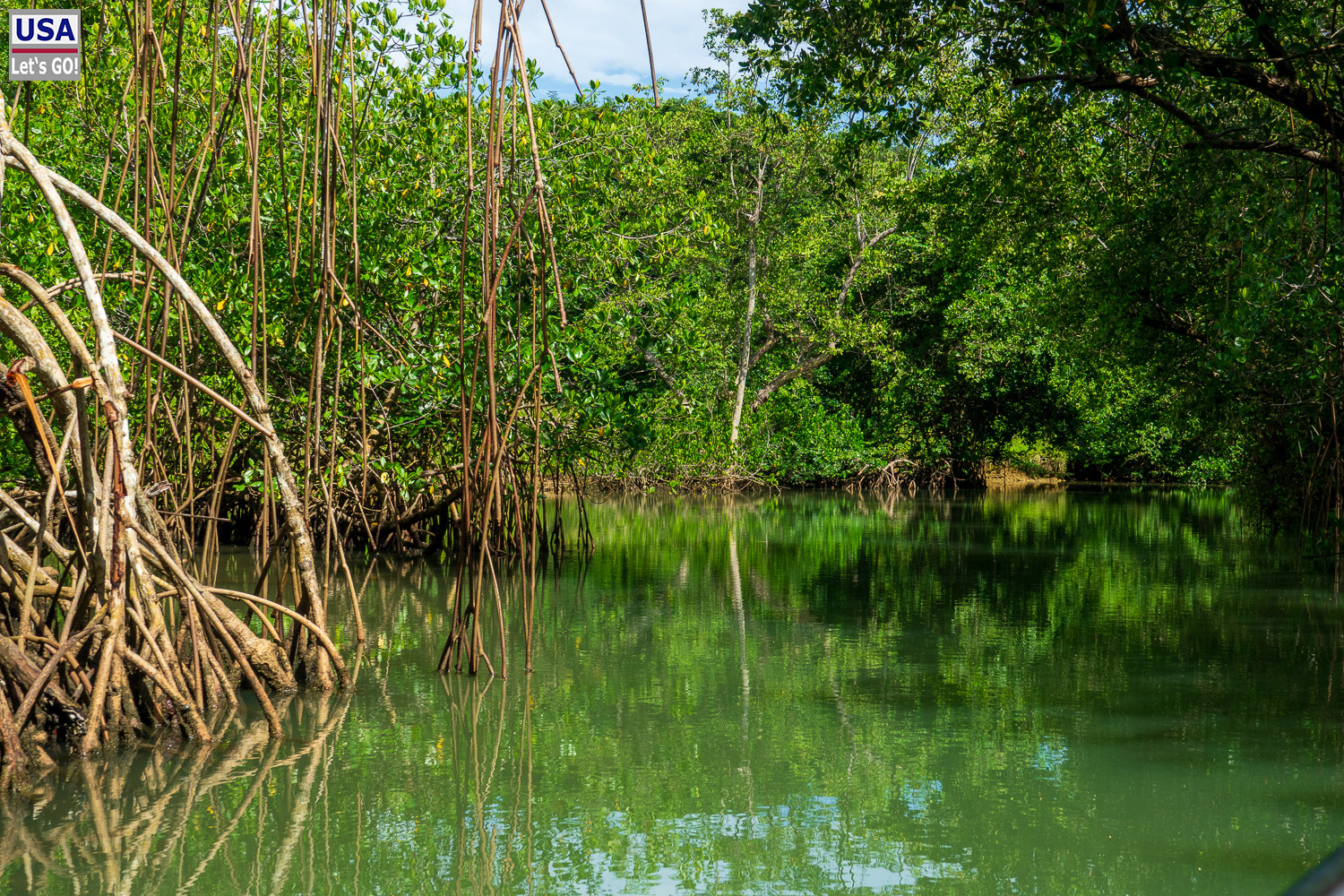 Bootstour auf dem Rio Cano Hondo, Nationalpark Los Haitises