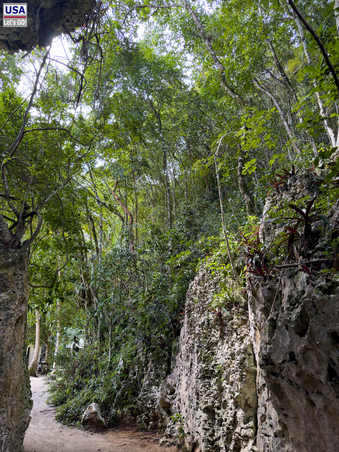 Karstfelsw&auml;nde im Los Haitises